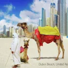 Business 3 image FLIGHT CENTRE Travel Agents & Services in Reading Be