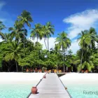 Business 2 image FLIGHT CENTRE Travel Agents & Services in Reading Be