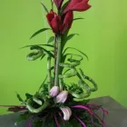 Business 2 image FLOWER POWER Shopping & Retail in Walsall We
