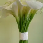 Business 18 image FLOWER POWER Shopping & Retail in Walsall We