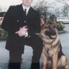 Business 7 image FOCUS DOGS. Pets & Animals in Harrow Gr