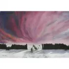 Business 4 image FOOTBASE CHIROPODY & PODIATRY SERVICE Chiropodists & Podiatrists in London Gr