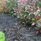 Business 5 image FORMULA ONE AUTOCENTRES LTD Garage Services in Crawley We