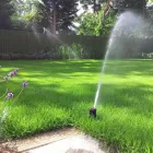 Business 9 image FORMULA ONE AUTOCENTRES LTD Garage Services in Crawley We