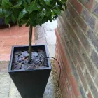 Business 3 image FORMULA ONE AUTOCENTRES LTD Garage Services in Crawley We