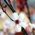 Business 1 image FOYLE DAY CARE ASSOCIATION Day Nurseries in Londonderry Co