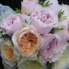 Business 20 image FRANKIE & BENNY'S American Restaurants in Cardiff So