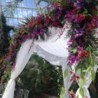 Business 2 image FROG FLOWERS Florists in Manchester La