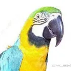 Business 1 image FUR'N'FEATHERS Pets & Animals in Glasgow Glg