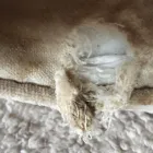 Business 15 image FURNITURE MEND LEEDS Upholstery Cleaners in Leeds We