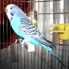 Business 3 image FURRY FUN Pet Services in Glasgow La