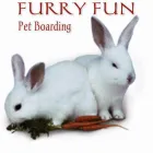 Business 5 image FURRY FUN Pet Services in Glasgow La
