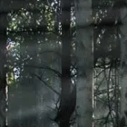 Business 5 image FUTURA INVESTMENTS Financial Advisers in Aberdeen Ab