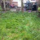 Business 8 image GARDEN BOUNDARIES Garden Services in Altrincham Ch