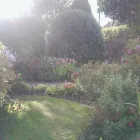 Business 12 image GARDEN WISE Garden Services in Bournemouth Do