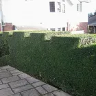 Business 3 image GARDEN WISE Garden Services in Bournemouth Do