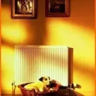 Business 3 image GASTASTIC Gas Engineers in London Gr