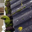 Business 2 image GCS GUTTER CLEANING SPECIALISTS Gutter & Downspout Installation & Repair in Croydon Gr