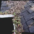 Business 3 image GCS GUTTER CLEANING SPECIALISTS Gutter & Downspout Installation & Repair in Croydon Gr