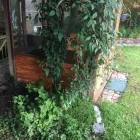 Business 14 image GIBSON TREE & GARDEN SERVICE DANIEL GIBSON Tree Services in Swansea Swa