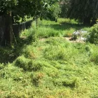 Business 20 image GIBSON TREE & GARDEN SERVICE DANIEL GIBSON Tree Services in Swansea Swa