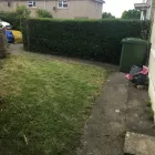 Business 25 image GIBSON TREE & GARDEN SERVICE DANIEL GIBSON Tree Services in Swansea Swa