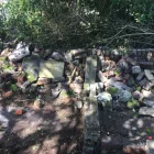Business 30 image GIBSON TREE & GARDEN SERVICE DANIEL GIBSON Tree Services in Swansea Swa