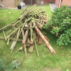 Business 40 image GIBSON TREE & GARDEN SERVICE DANIEL GIBSON Tree Services in Swansea Swa