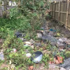 Business 41 image GIBSON TREE & GARDEN SERVICE DANIEL GIBSON Tree Services in Swansea Swa