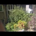 Business 51 image GIBSON TREE & GARDEN SERVICE DANIEL GIBSON Tree Services in Swansea Swa