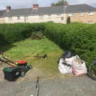 Business 58 image GIBSON TREE & GARDEN SERVICE DANIEL GIBSON Tree Services in Swansea Swa