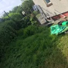 Business 60 image GIBSON TREE & GARDEN SERVICE DANIEL GIBSON Tree Services in Swansea Swa