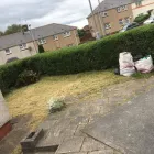 Business 61 image GIBSON TREE & GARDEN SERVICE DANIEL GIBSON Tree Services in Swansea Swa