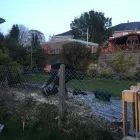 Business 65 image GIBSON TREE & GARDEN SERVICE DANIEL GIBSON Tree Services in Swansea Swa
