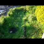 Business 69 image GIBSON TREE & GARDEN SERVICE DANIEL GIBSON Tree Services in Swansea Swa