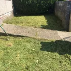 Business 73 image GIBSON TREE & GARDEN SERVICE DANIEL GIBSON Tree Services in Swansea Swa