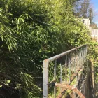 Business 74 image GIBSON TREE & GARDEN SERVICE DANIEL GIBSON Tree Services in Swansea Swa