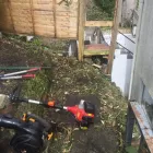 Business 76 image GIBSON TREE & GARDEN SERVICE DANIEL GIBSON Tree Services in Swansea Swa