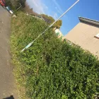 Business 80 image GIBSON TREE & GARDEN SERVICE DANIEL GIBSON Tree Services in Swansea Swa