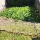 Business 81 image GIBSON TREE & GARDEN SERVICE DANIEL GIBSON Tree Services in Swansea Swa