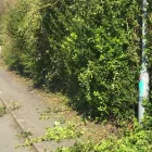 Business 84 image GIBSON TREE & GARDEN SERVICE DANIEL GIBSON Tree Services in Swansea Swa