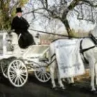 Business 2 image GILLMAN FUNERAL SERVICE Funeral Directors in London Gr