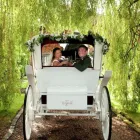 Business 2 image GO WITH GREGS Driving Schools in Glasgow La