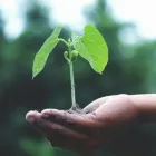 Business 1 image GREEN GARDENING SERVICES BOURNEMOUTH Garden Services in Bournemouth Do