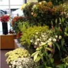 Business 4 image GREENDALE FLORISTS Florists in Barton-Upon-Humber So