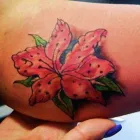 Business 6 image GREENTREES Garden Designers in BERKHAMSTED He