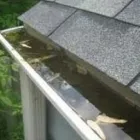 Business 2 image GUTTER CLEANING LONDON Window Cleaners in Slough Be