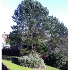 Business 7 image HAIRDRESSER TRAINING LTD Training Services in Bolton La