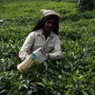 Business 6 image HALIFAX Banks & Financial Institutions in Rossendale La