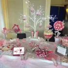 Business 2 image HAMILTON DENTAL CENTRE Dentists in Hamilton La